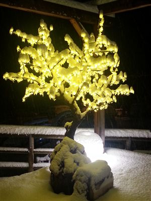 ALBERO A LED CON FOGLIE BIANCHE 170 CM -PRESTIGE-